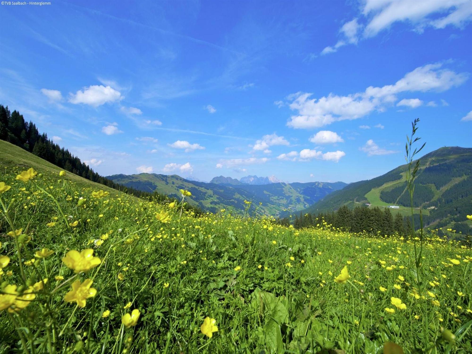 Apartment In Saalbach Hinterglemm Near Ski Area Exterior photo